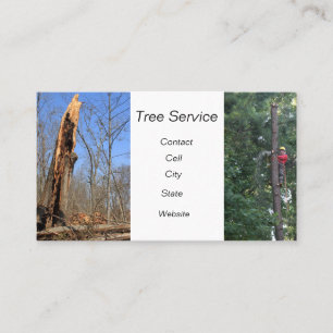 tree cutting arborist climber tree damage lighting business card