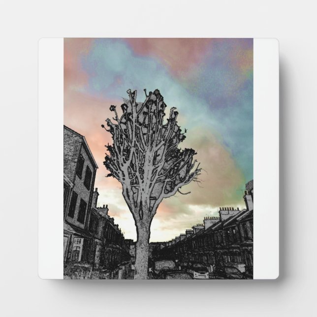 Tree drawing against photo plaque (Front)