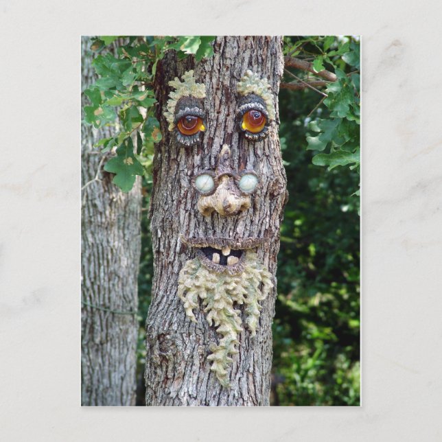 Tree Face Postcard (Front)