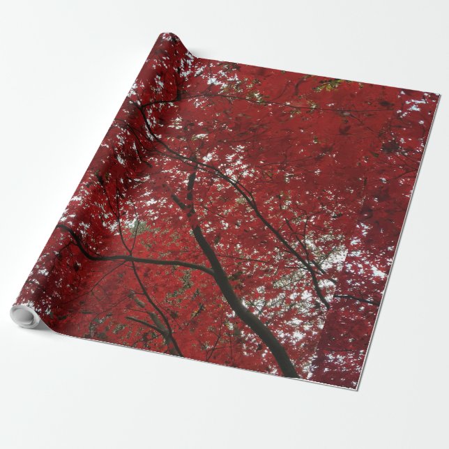 Tree Fall Season Red Brown Autumn Leaves Wrapping Paper (Unrolled)