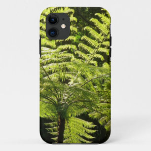 Tree Fern in the Rainforest iPhone 11 Case