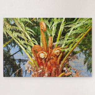 Tree fern new growth, Dandenong Ranges, Australia Jigsaw Puzzle