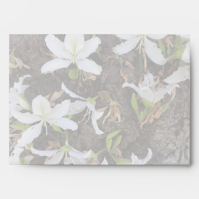 Tree flowers envelopes (Front)
