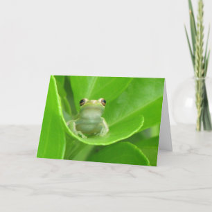 Tree Frog Birthday Card