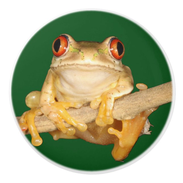 Tree Frog Ceramic Knob (Front)