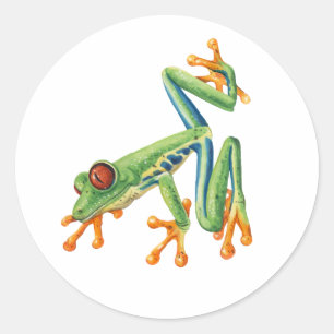 Tree frog classic round sticker
