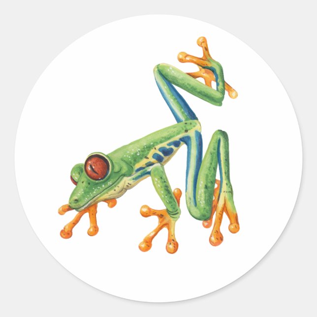 Tree frog classic round sticker (Front)