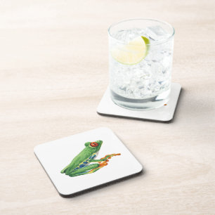 Tree frog coaster