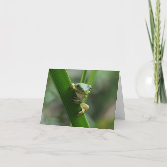 Tree Frog Friendship Greeting Card (Front)