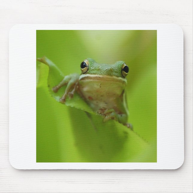 Tree Frog Green Customize jump Mouse Pad (Front)