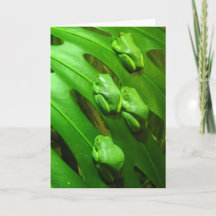 Tree Frog Greeting Card