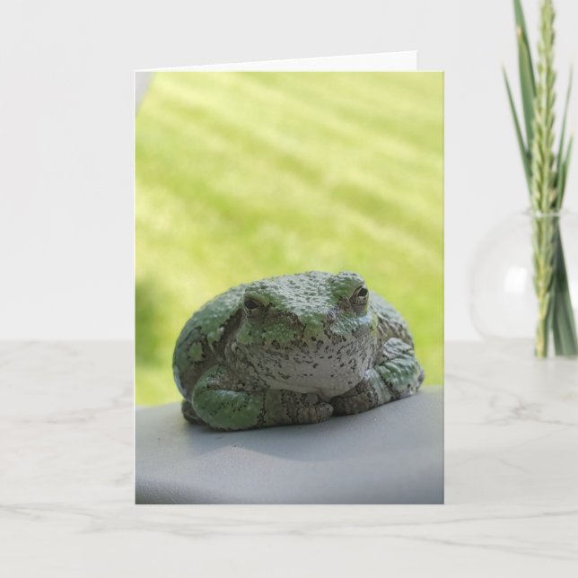 Tree Frog Greeting Card (Front)