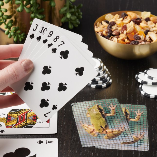 Tree Frog On Screen Close Up Photograph Playing Cards (In Situ)