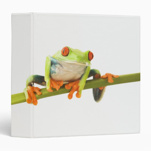 Tree frog on stem binder (Front/Spine)