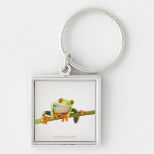 Tree frog on stem keychain
