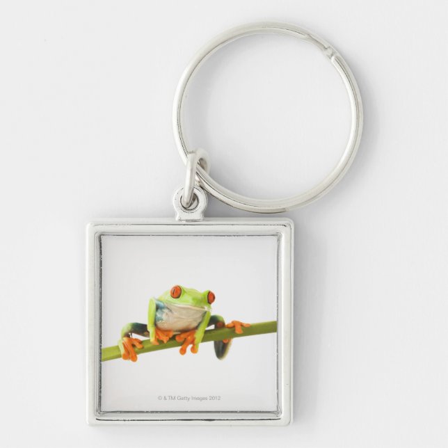 Tree frog on stem keychain (Front)