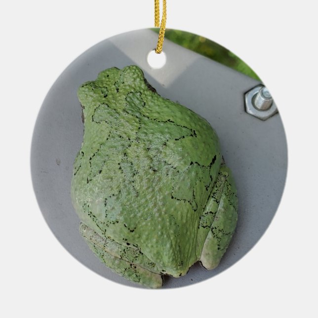 Tree frog ornament (Front)