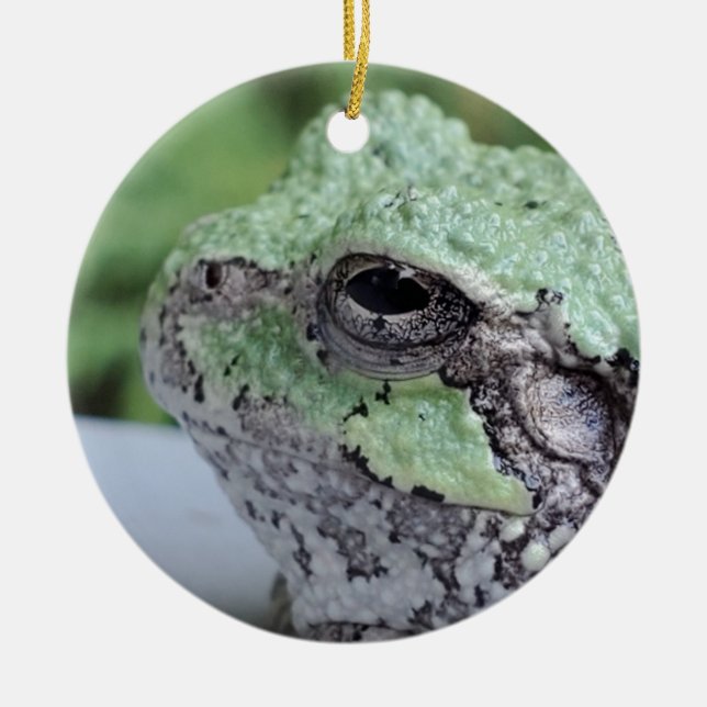 Tree Frog Ornament (Front)