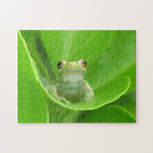 Tree Frog Puzzle