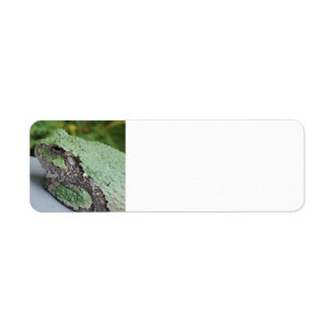 Tree Frog Return Labels