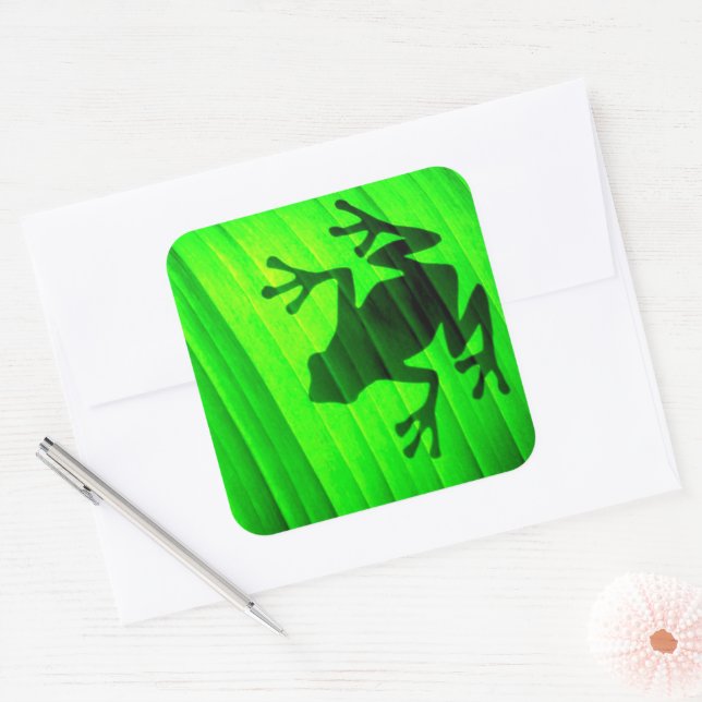 Tree Frog Square Sticker (Envelope)