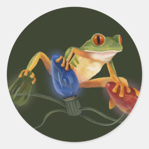 Tree Frog Sticker