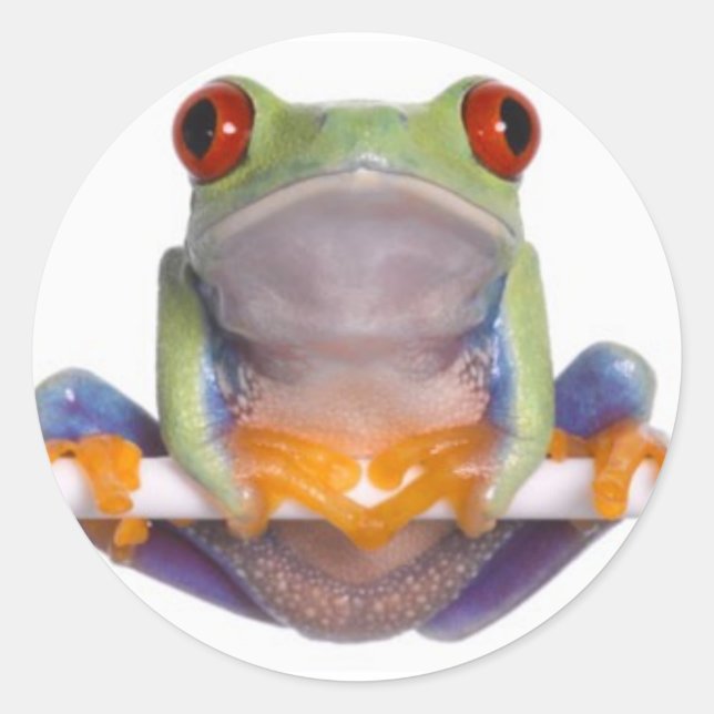 Tree Frog Sticker 2 (Front)