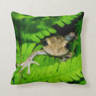 Tree Frog Throw Pillow