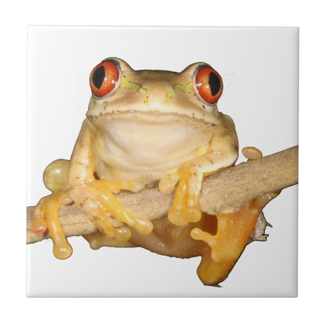 Tree Frog Tile (Front)