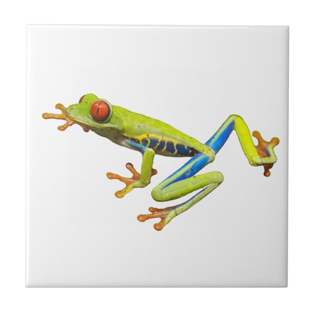 Tree Frog Tile (Front)