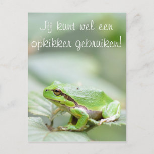Tree frog with the text 'Opkikker' postcard