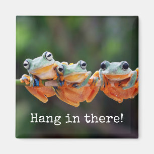 Tree Frogs Trio - Hang in There Magnet