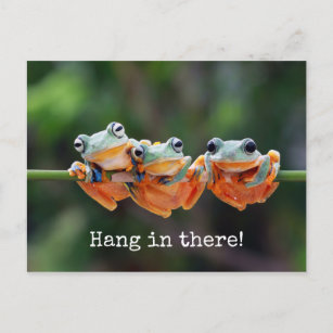 Tree Frogs Trio - Hang in There Postcard