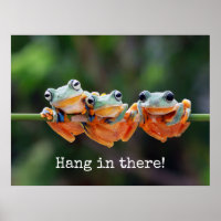Tree Frogs Trio - Hang in There
