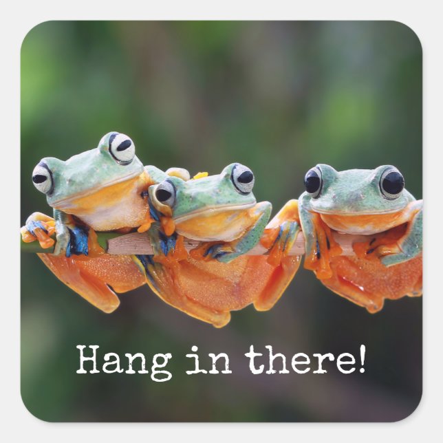 Tree Frogs Trio - Hang in There Square Sticker (Front)