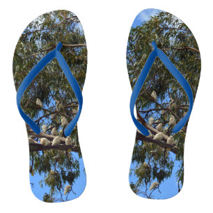 Tree Full Of Wild White Cockatoos, Flip Flops