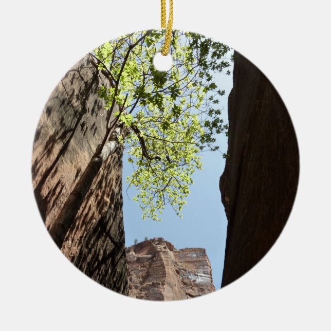 Tree Growing Between Rocks at Zion National Park Ceramic Ornament (Front)
