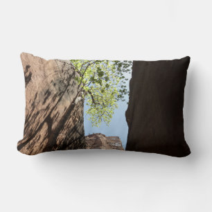 Tree Growing Between Rocks at Zion National Park Lumbar Pillow