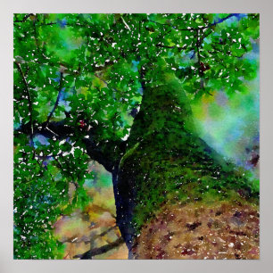 "Tree Hug" Semi-Gloss Square Poster