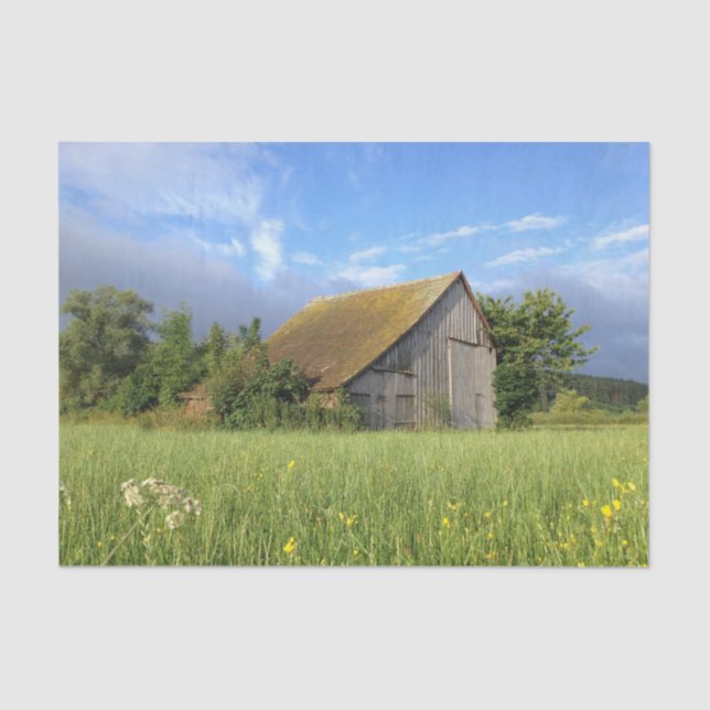 Tree Hugged Slanted Roof Barn in a Flower Field Tissue Paper (Front)