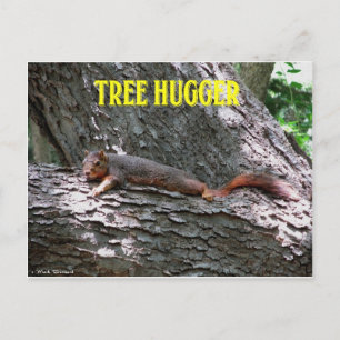 Tree Hugger! Postcard