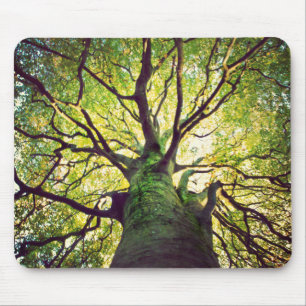 Tree Hugging Mouse Pad
