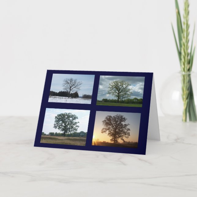 Tree in 4 Seasons Card (Front)