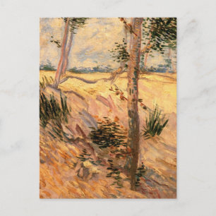 Tree in a Field on a Sunny Day by Vincent van Gogh Postcard