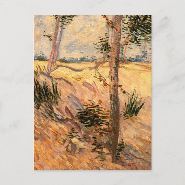 Tree in a Field on a Sunny Day by Vincent van Gogh Postcard (Front)