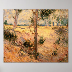 Tree in a Field on a Sunny Day by Vincent van Gogh Poster