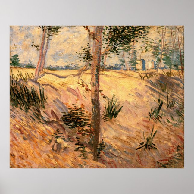 Tree in a Field on a Sunny Day by Vincent van Gogh Poster (Front)