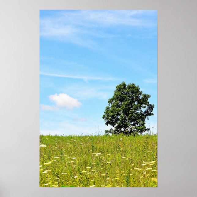Tree in a Field Poster (Front)