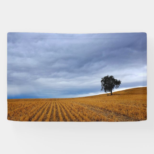 Tree in a wheat field banner (Horizontal)