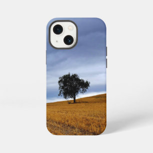 Tree in a wheat field iPhone 13 mini case